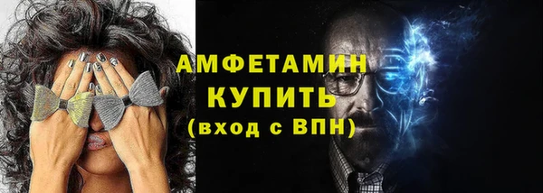 шишки Надым