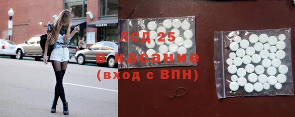 шишки Надым