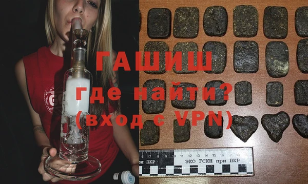 шишки Надым