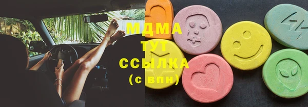 шишки Надым