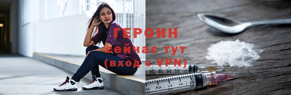 шишки Надым
