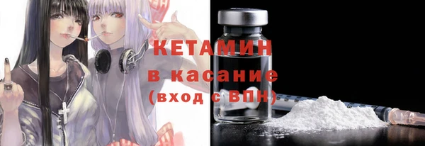шишки Надым