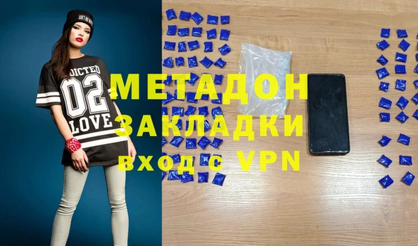 шишки Надым