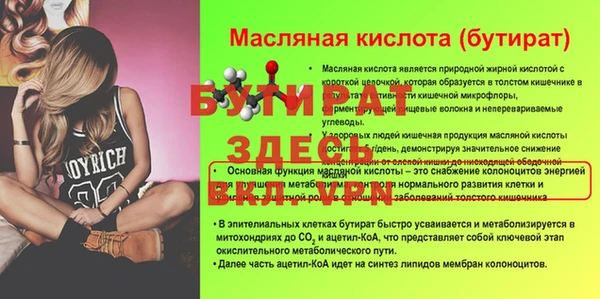 шишки Надым