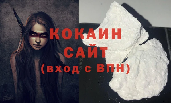 шишки Надым