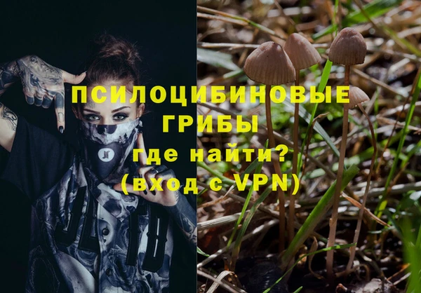 гидра Навашино