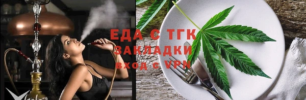 шишки Надым