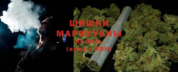 шишки Надым