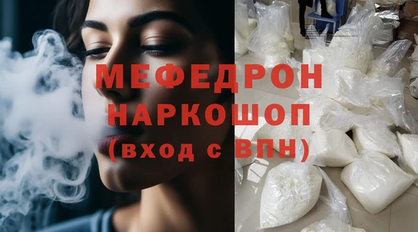шишки Надым