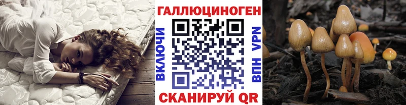 это телеграм  Пойковский  Псилоцибиновые грибы мицелий  гидра онион 